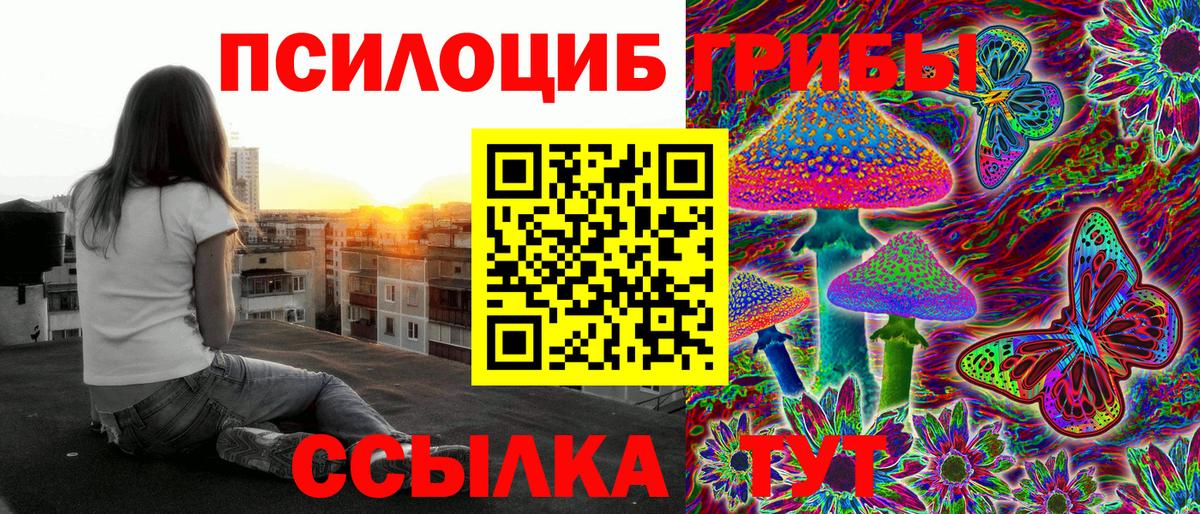 Галлюциногенные грибы Cubensis  Вход с VPN  Хабаровск 