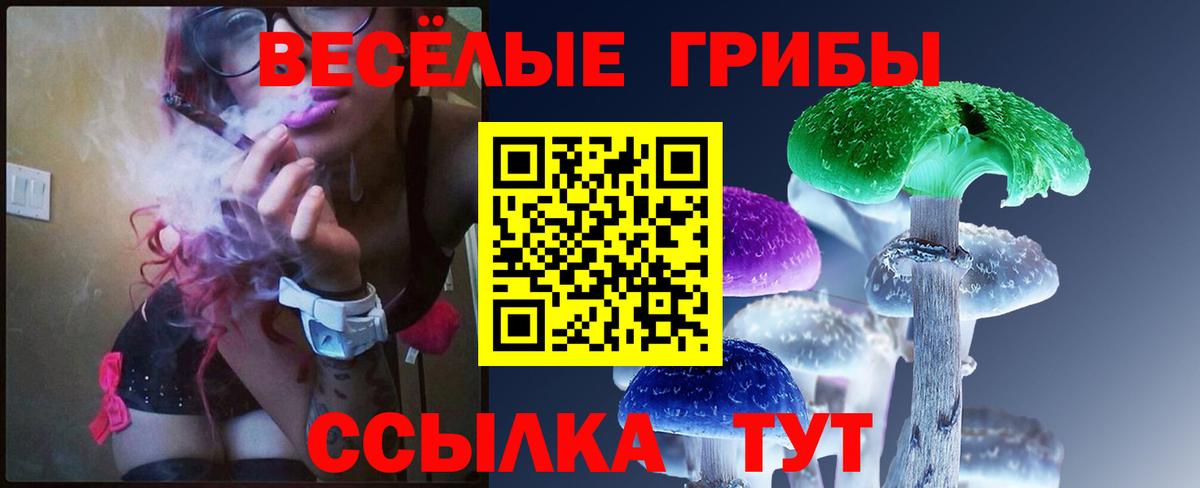 Псилоцибиновые грибы Psilocybine cubensis Хабаровск